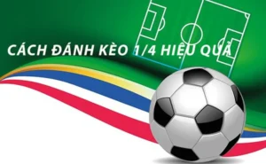 Kèo Chấp 0.25 Tại NowGoal Cách Hiểu Và Phân Tích Chính Xác Cho Người Mới Bắt Đầu