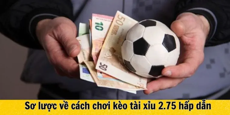 Kèo 2.75 Tại NowGoal Hướng Dẫn Phân Tích Chuẩn Xác Cho Người Yêu Bóng Đá