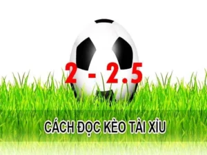 Kèo 2.25 Tại NowGoal Hướng Dẫn Hiểu Đúng Và Cách Phân Tích Chính Xác