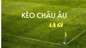 Kèo Châu Âu Tại NowGoal Cách Đọc Hiểu Và Phân Tích Chuẩn Xác Cho Người Yêu Bóng Đá