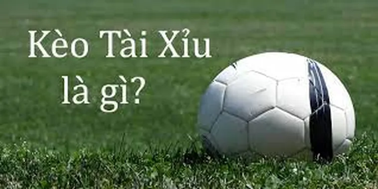 Kèo Tài Xỉu Tại NowGoal Cách Đọc Hiểu Và Phân Tích Hiệu Quả Dành Cho Người Yêu Bóng Đá